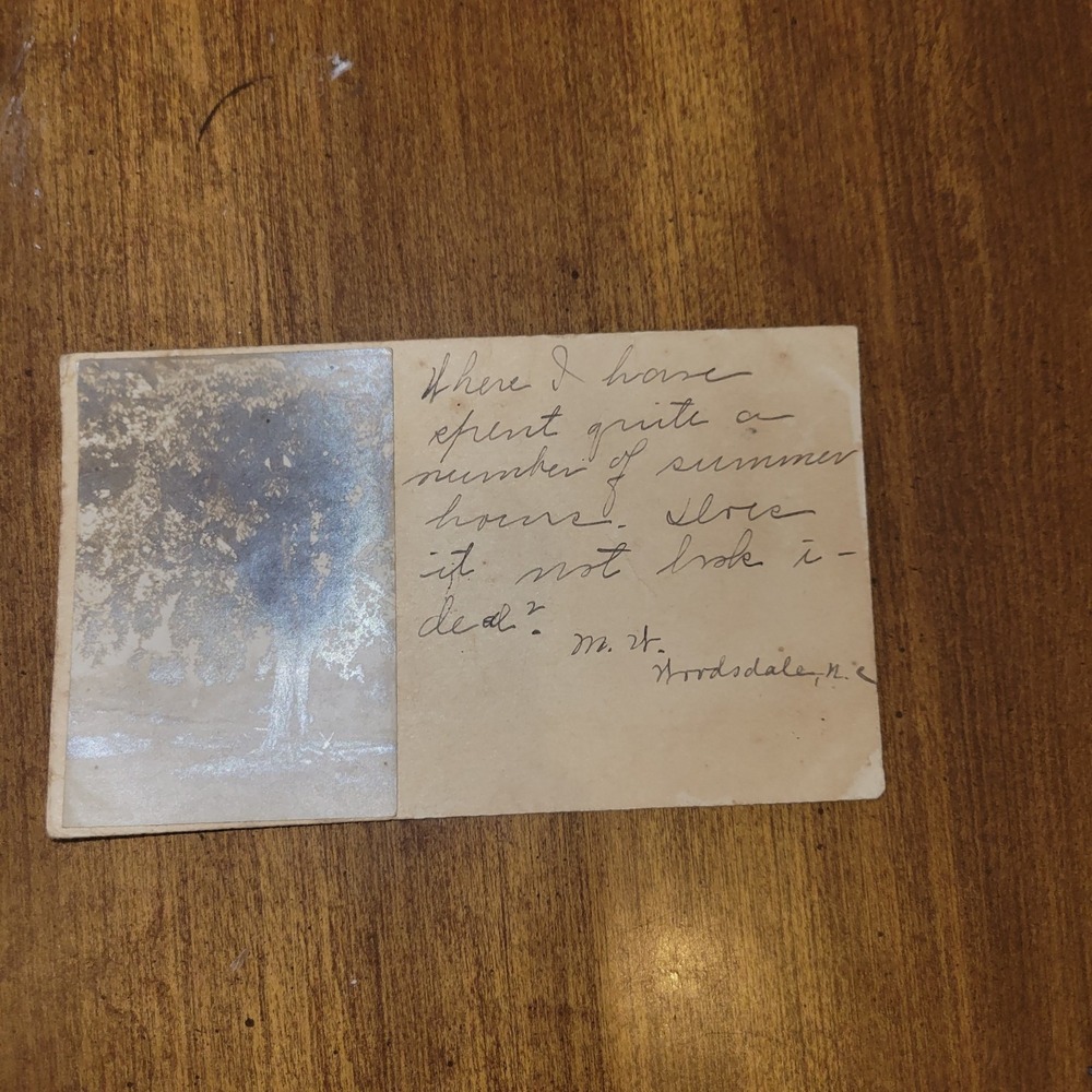 Antique Real Photo Postcard Tree Scene Handwritten Message Woodsdale NC...